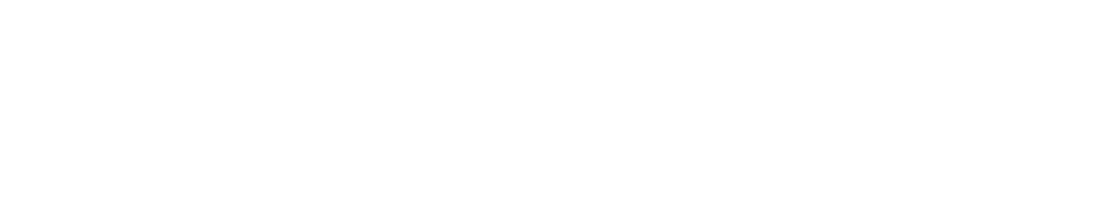 Travel Advisor | Posh Passport | Danielle Sick | Houston